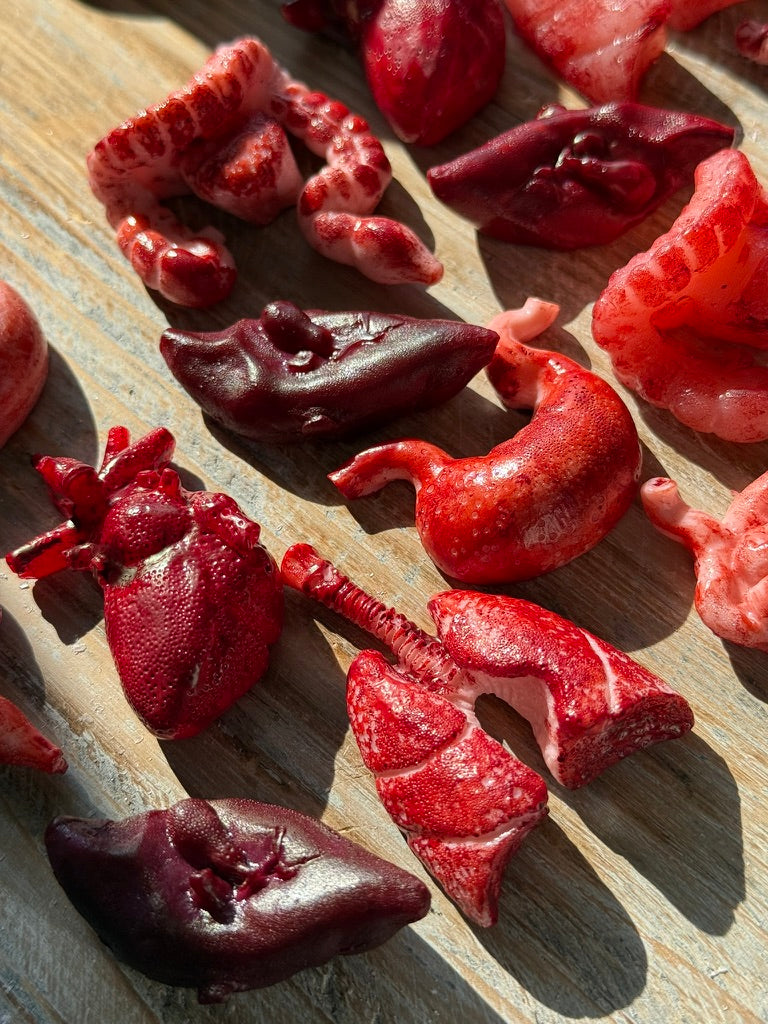 Recovered Human Remains™ — 12 Mini Candy Organs