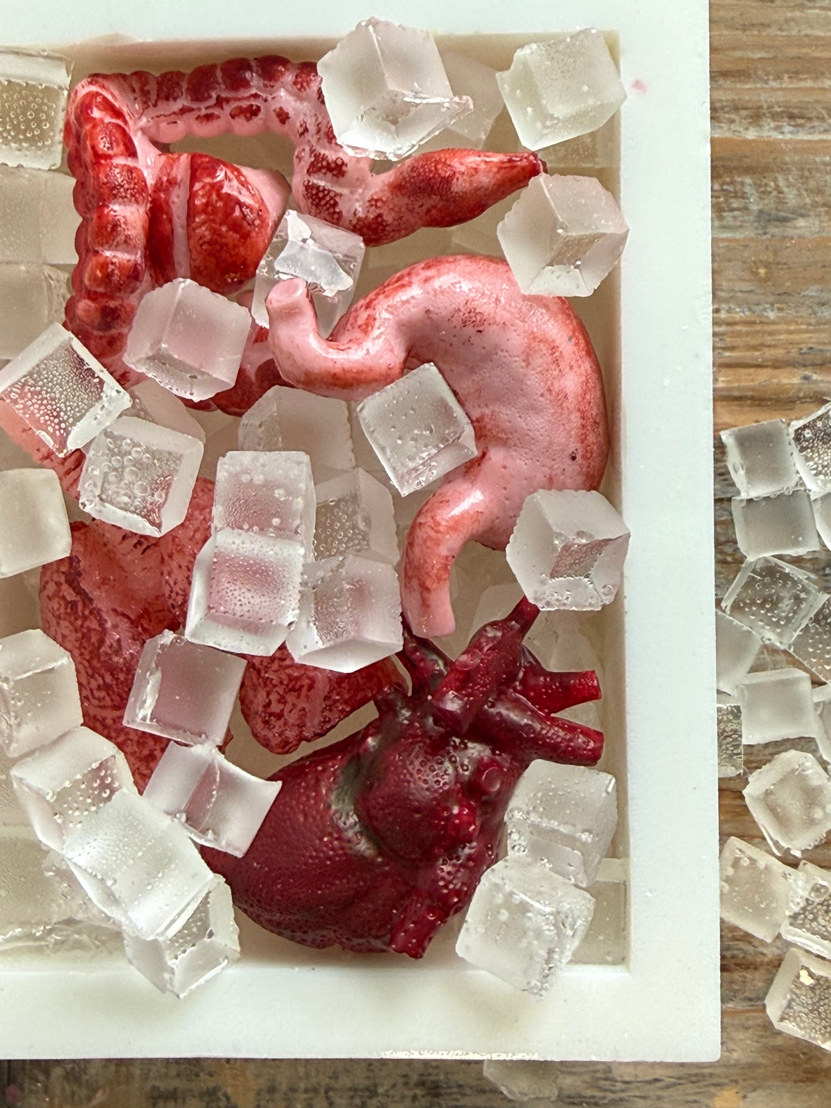 Recovered Human Remains™ — 12 Mini Candy Organs